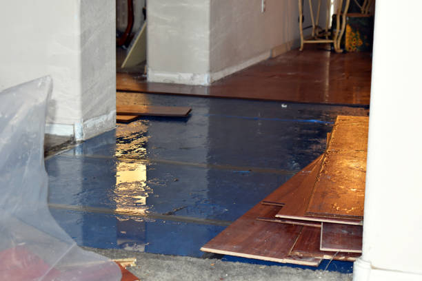 Professional Water Damage Restoration technician working in Burkettsville, OH